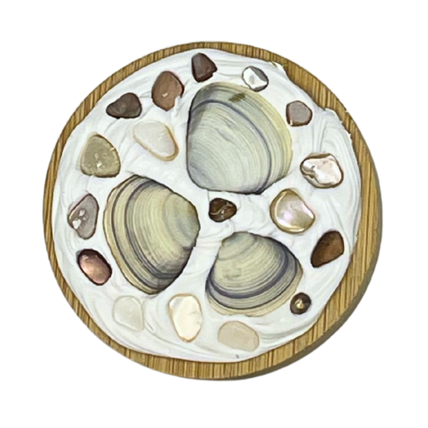 Handmade Shell Bottle Opener