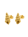 Golden Spiral Shell Stud Earrings