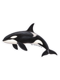 Salt Water Surf Co Vinyl Sticker Orca