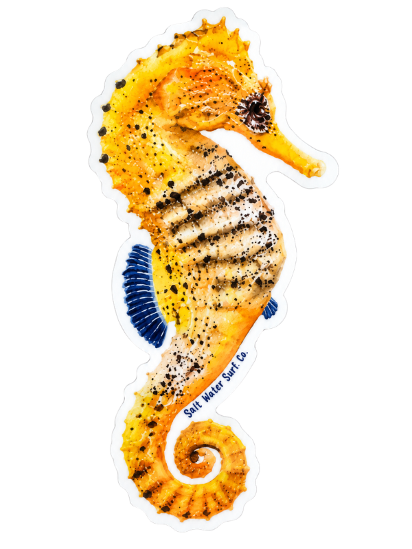 Salt Water Surf Co Vinyl Sticker Seahorse
