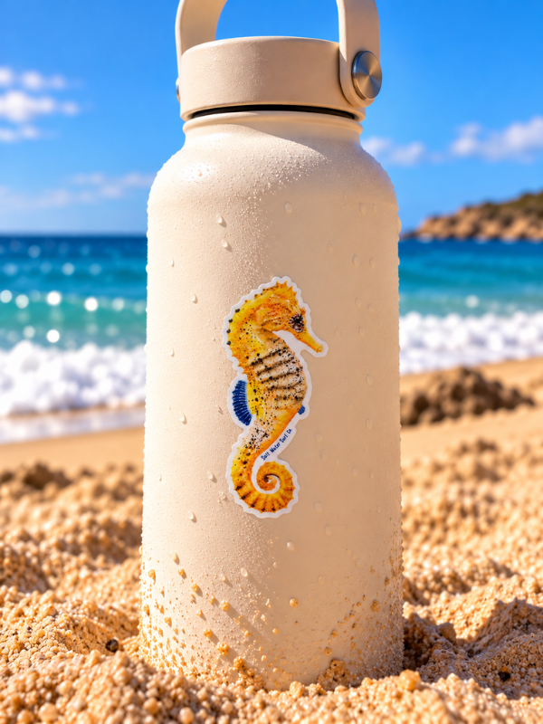 Salt Water Surf Co Vinyl Sticker Seahorse