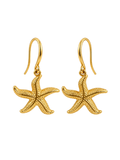 Gilded Sea Star Earrings