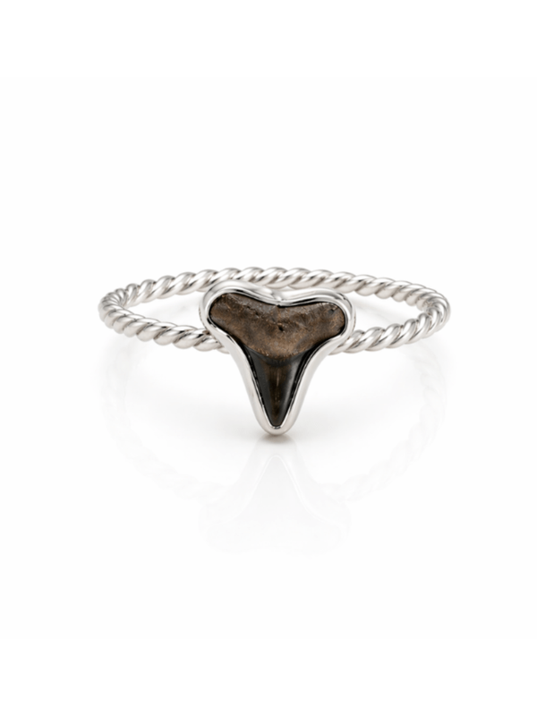 FLORIDIAN SHARK TOOTH RING