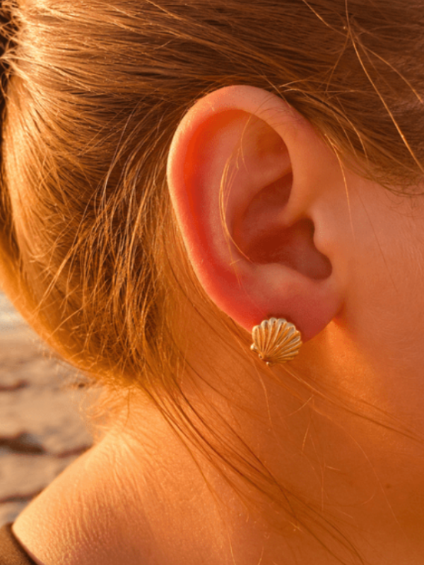 SANDBAR SHELL STUD EARRING