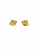 SEABLOOM SHELL STUD EARRINGS