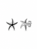 SEA STAR STUD EARRINGS