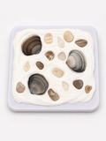 COASTAL HANDMADE SHELL COMPACT MIRROR