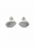 RIBBED SHELL STUD EARRINGS