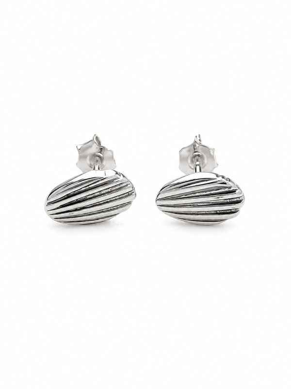 RIBBED SHELL STUD EARRINGS