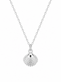 SEASHELL NECKLACE
