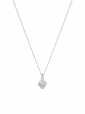 MINI SHELL TREASURE NECKLACE