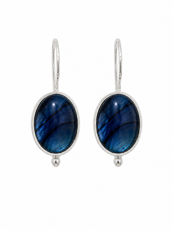 Blue Paua Abalone drop Earring