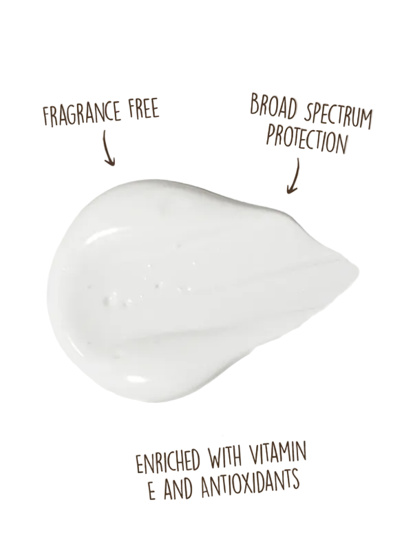 SUN BUM ORIGINAL SPF 50+ FACE LOTION