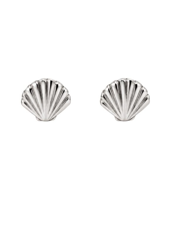 Seashell Stud Earring