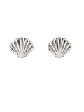 Seashell Stud Earring