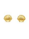 SANDBAR SHELL STUD EARRING