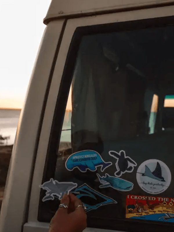 SAILFISH OCEAN LIFE SURF STICKERS