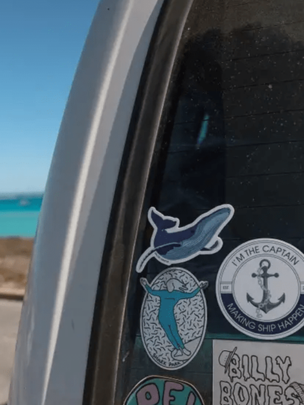 SAILFISH OCEAN LIFE SURF STICKERS