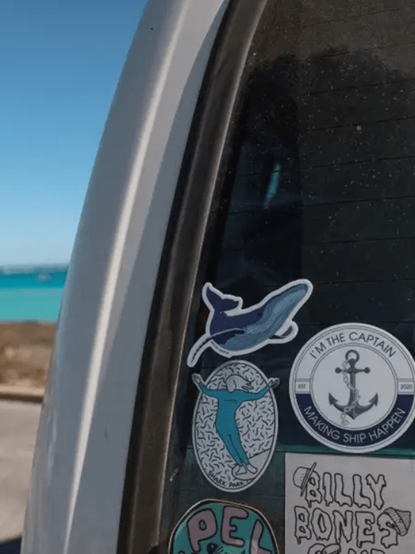 SAILFISH OCEAN LIFE SURF STICKERS