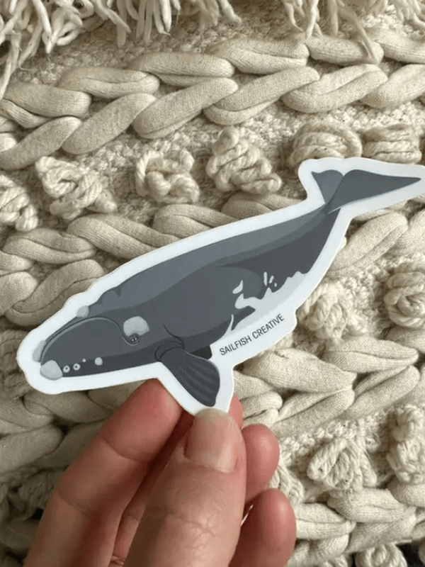 SAILFISH OCEAN LIFE SURF STICKERS