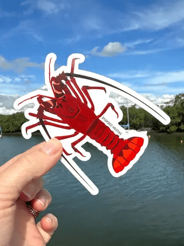 SAILFISH OCEAN LIFE SURF STICKERS
