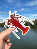 SAILFISH OCEAN LIFE SURF STICKERS