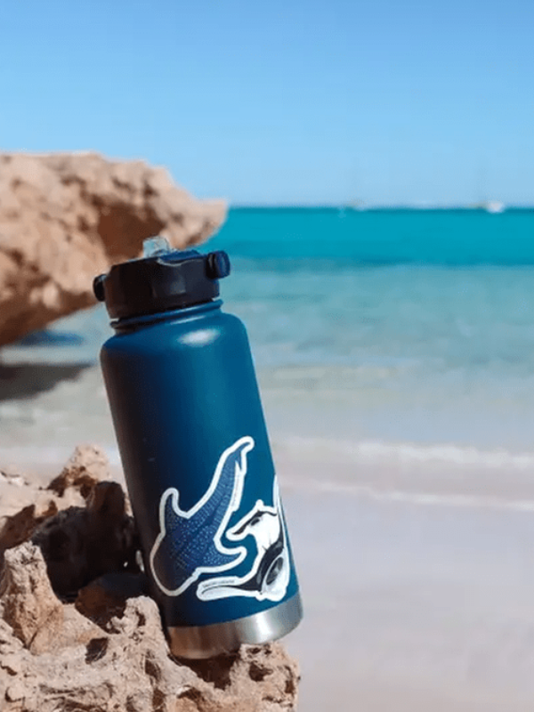SAILFISH OCEAN LIFE SURF STICKERS