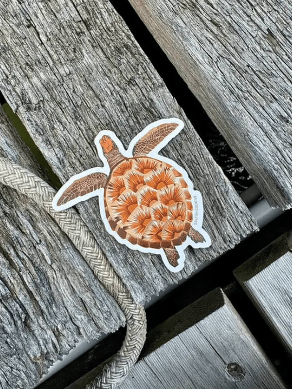 SAILFISH OCEAN LIFE SURF STICKERS