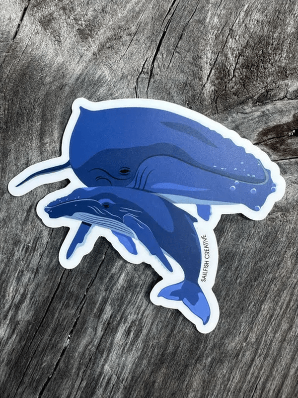 SAILFISH OCEAN LIFE SURF STICKERS