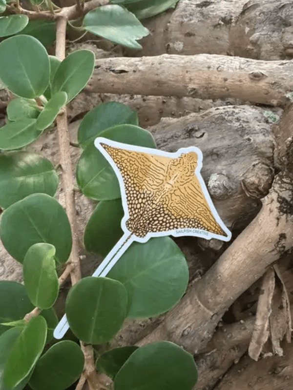 SAILFISH OCEAN LIFE SURF STICKERS