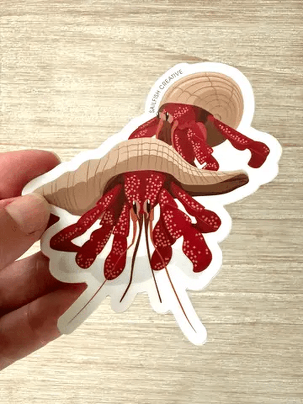 SAILFISH OCEAN LIFE SURF STICKERS