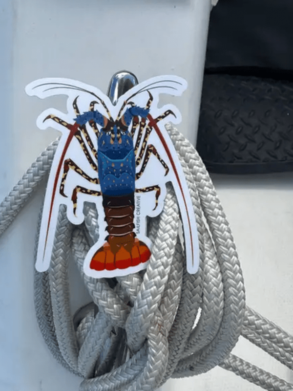 SAILFISH OCEAN LIFE SURF STICKERS