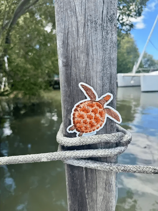 SAILFISH OCEAN LIFE SURF STICKERS