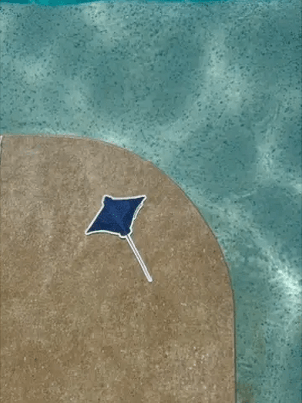 SAILFISH OCEAN LIFE SURF STICKERS