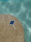 SAILFISH OCEAN LIFE SURF STICKERS