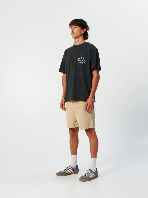 Image 281.jpg